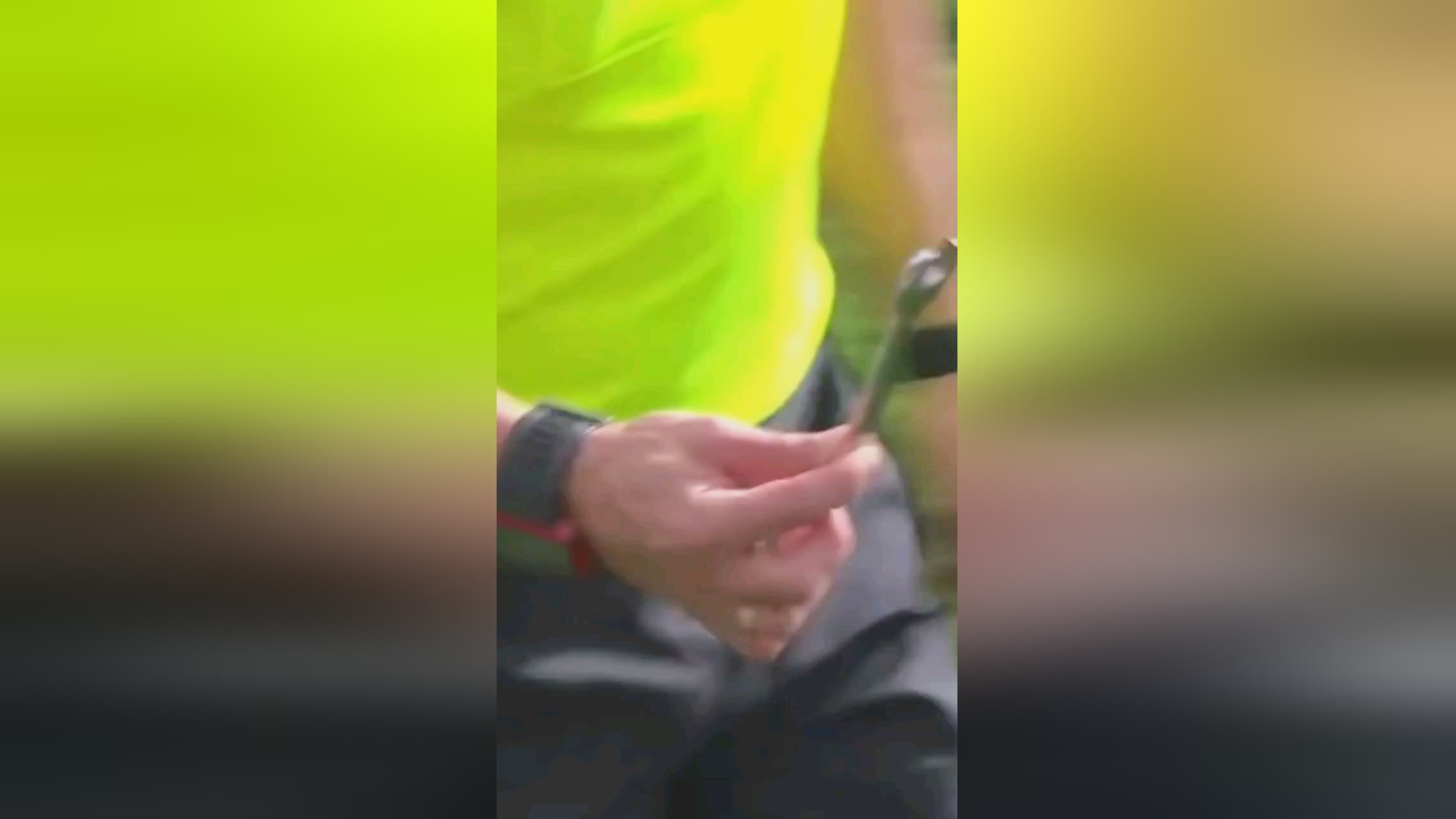 才是根